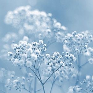 Meet your Posher, Bree